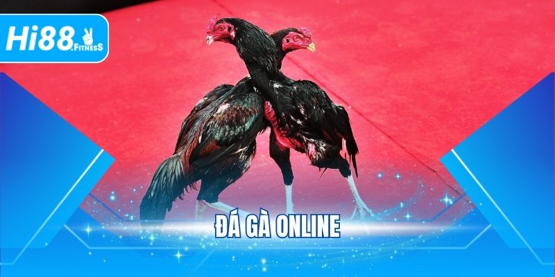 Đá Gà Online - Màn Tranh Tài Đỉnh Cao Sôi Động Tại Hi88