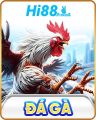 Đá gà hi88.fitness